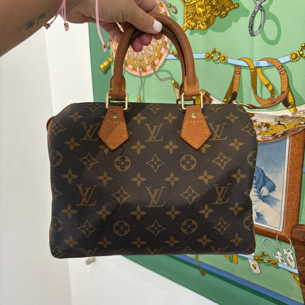 Sac Louis Vuitton Speedy 25 monogram
