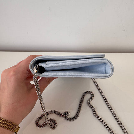 Sac Dior Wallet on chain Diorama