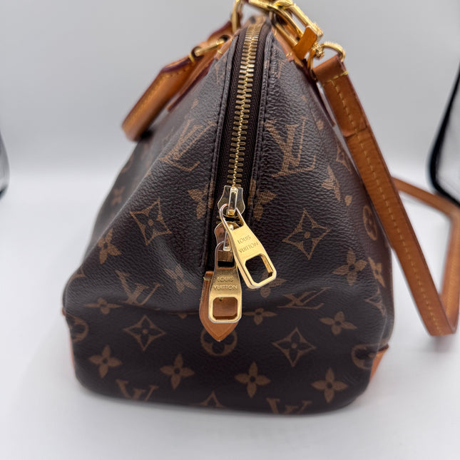 Sac Louis Vuitton Ségur