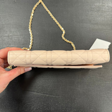 Sac Wallet on Chain Dior