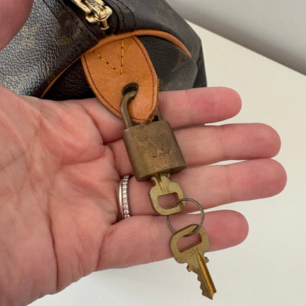 Sac Louis Vuitton Speedy 35